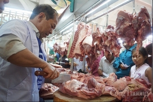 Tăng tốc tái đàn để sớm kéo giảm giá thịt heo trên thị trường