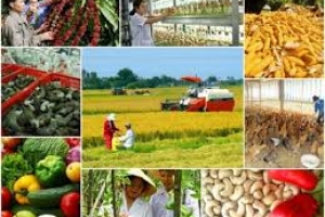 Chính sách khuyến công góp phần nâng cao năng lực cạnh tranh của các doanh nghiệp công nghiệp nông thôn trong bối cảnh hội nhập kinh tế quốc tế sâu rộng
