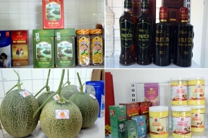 Hỗ trợ tiêu thụ sản phẩm đạt chứng nhận OCOP tỉnh Nghệ An