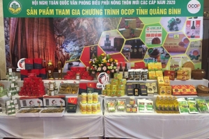 Hỗ trợ kết nối tiêu thụ sản phẩm OCOP tỉnh Quảng Bình