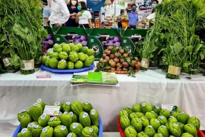 Hỗ trợ tiêu thụ sản phẩm nông sản tỉnh Lào Cai