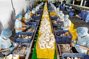 Hoạt động sản xuất tại khu công nghiệp ổn định