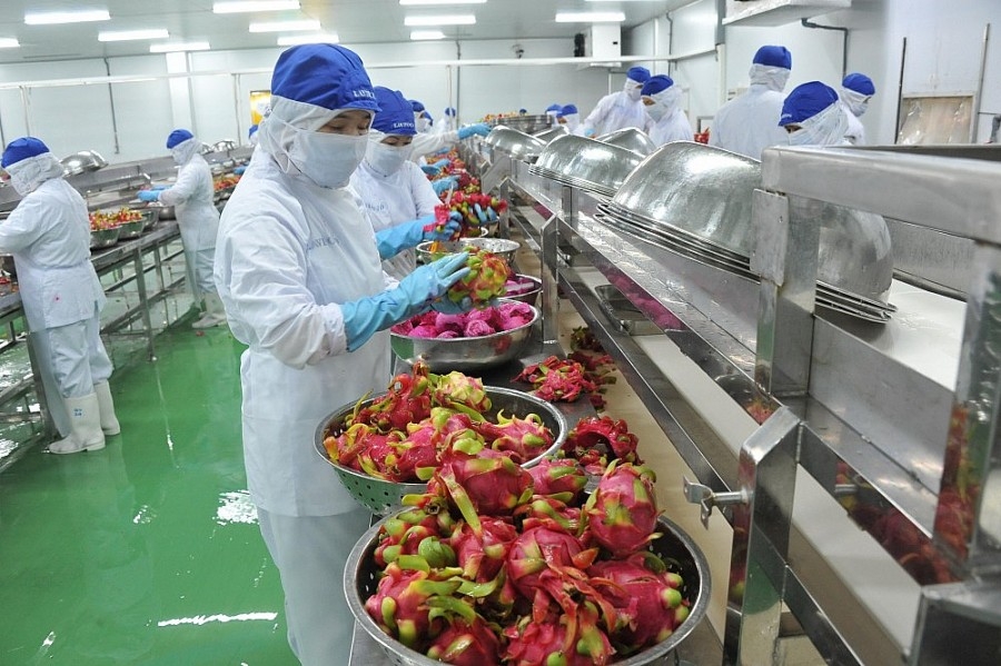 Giải pháp nào xuất khẩu nông sản bền vững sang thị trường Trung Quốc?