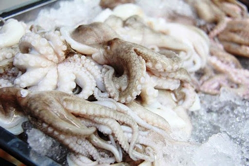 Xuất khẩu mực, bạch tuộc của Việt Nam tiếp tục giảm trong quý I/2020