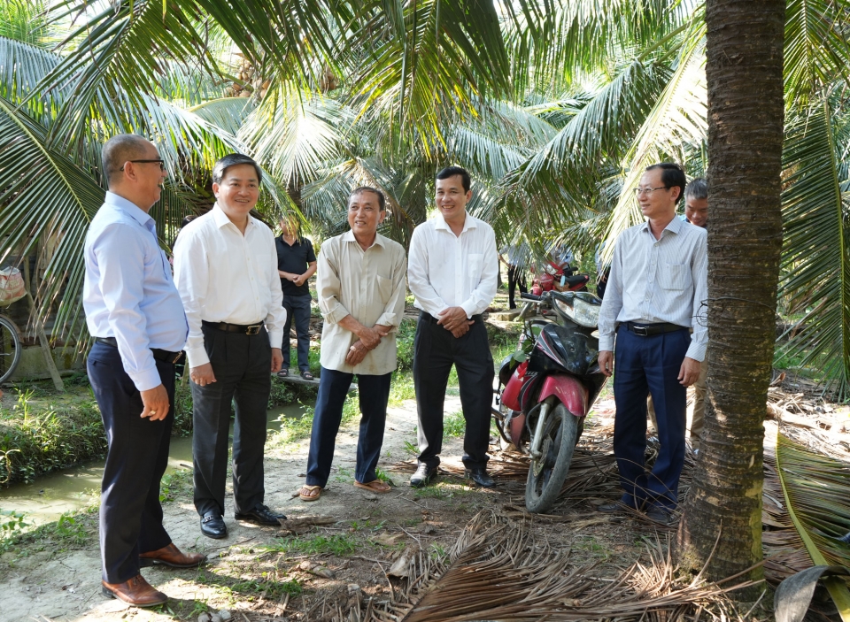 Bí thư Tỉnh ủy Lê Đức Thọ khảo sát thực tế mô hình liên kết sản xuất dừa uống nước tại huyện Châu Thành