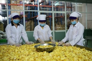 Doanh nghiệp đầu tiên ở Việt Nam nhận được chứng nhận hữu cơ của Trung Quốc