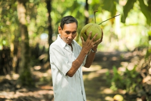 Nước cốt dừa tươi Cocoxim của Betrimex ra mắt, tăng chuỗi giá trị cây dừa Việt Nam