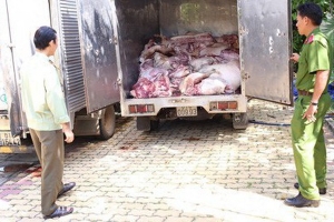 Tăng cường kiểm soát nhập lậu lợn, sản phẩm từ lợn qua biên giới