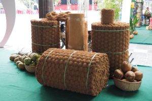 Diễn biến thị trường chỉ xơ dừa
