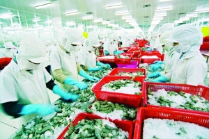 Xuất khẩu hải sản Việt Nam sang EU giảm sút vì “thẻ vàng”