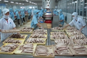 Trung Quốc “rời khỏi” top thị trường xuất khẩu lớn của cá ngừ Việt Nam
