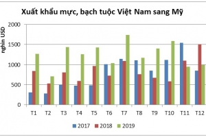 Mỹ tăng nhập khẩu mực, bạch tuộc từ Việt Nam