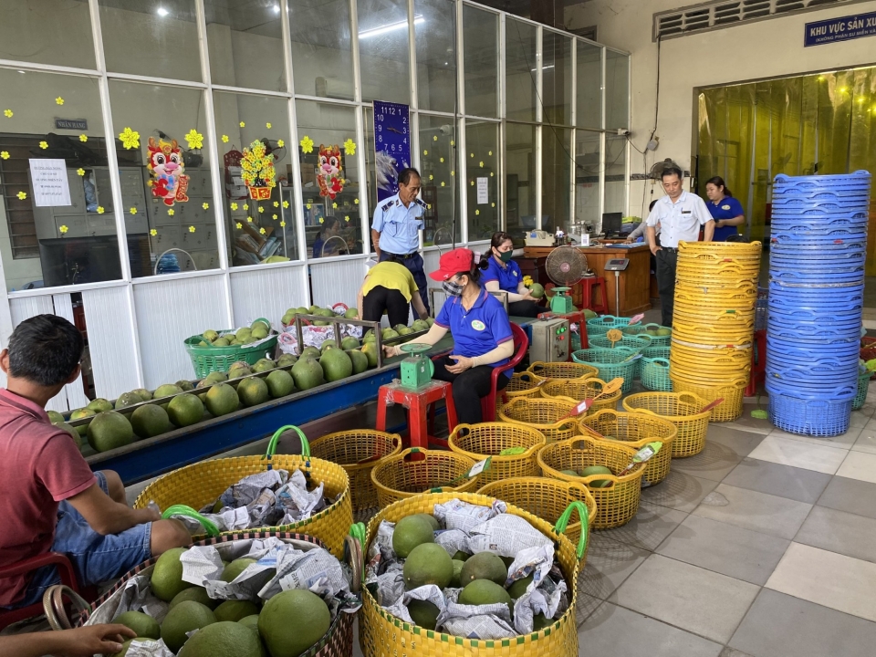 Kết quả triển khai công tác bảo đảm an toàn thực phẩm trong Tháng hành động vì an toàn thực phẩm năm 2024