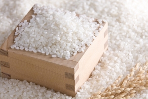 Công ty Senegal có nhu cầu nhập khẩu gạo tấm