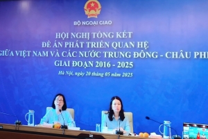 Tổng kết Đề án “Phát triển quan hệ giữa Việt Nam và các nước Trung Đông - Châu Phi giai đoạn 2016 - 2025”