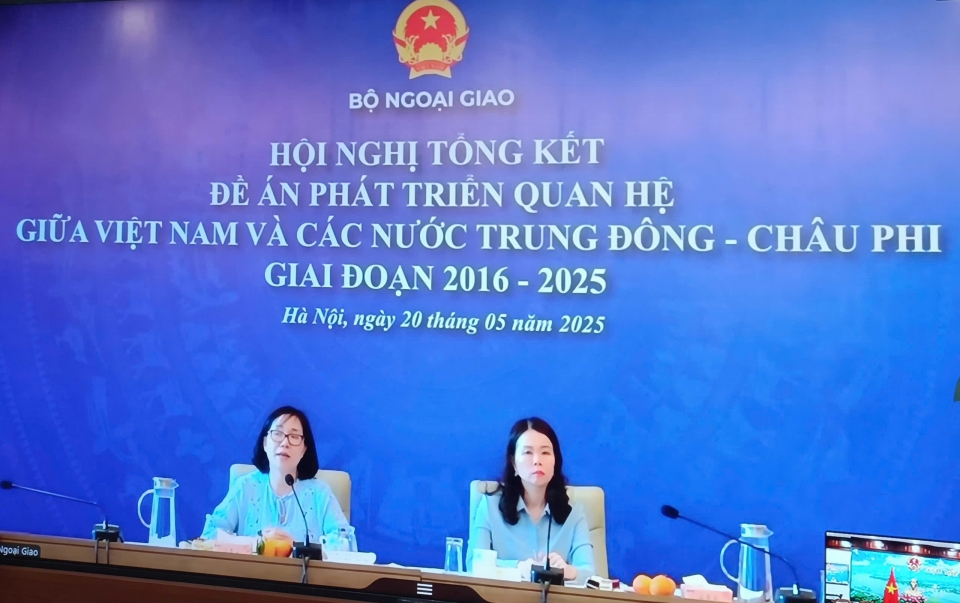 Tổng kết Đề án “Phát triển quan hệ giữa Việt Nam và các nước Trung Đông - Châu Phi giai đoạn 2016 - 2025”