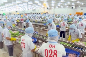 TP. Bến Tre trên 4,5 tỷ đồng hỗ trợ công tác khuyến công