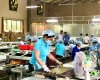 Nghị quyết số 68-NQ/TW: Cú hích chiến lược cho kinh tế  tư nhân Bến Tre phát triển bứt phá