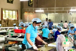Nghị quyết số 68-NQ/TW: Cú hích chiến lược cho kinh tế  tư nhân Bến Tre phát triển bứt phá