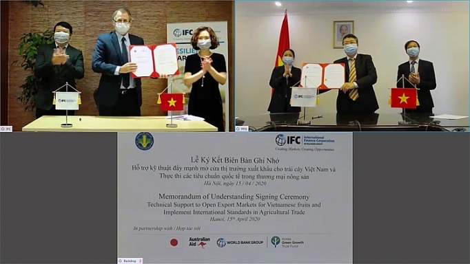 IFC hỗ trợ mở rộng thị trường xuất khẩu trái cây Việt Nam.