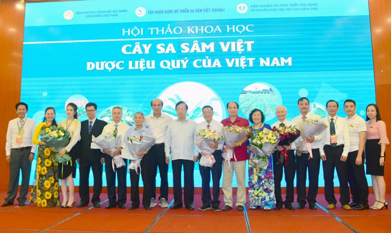 Cây sa sâm Việt - Dược liệu quý Việt Nam