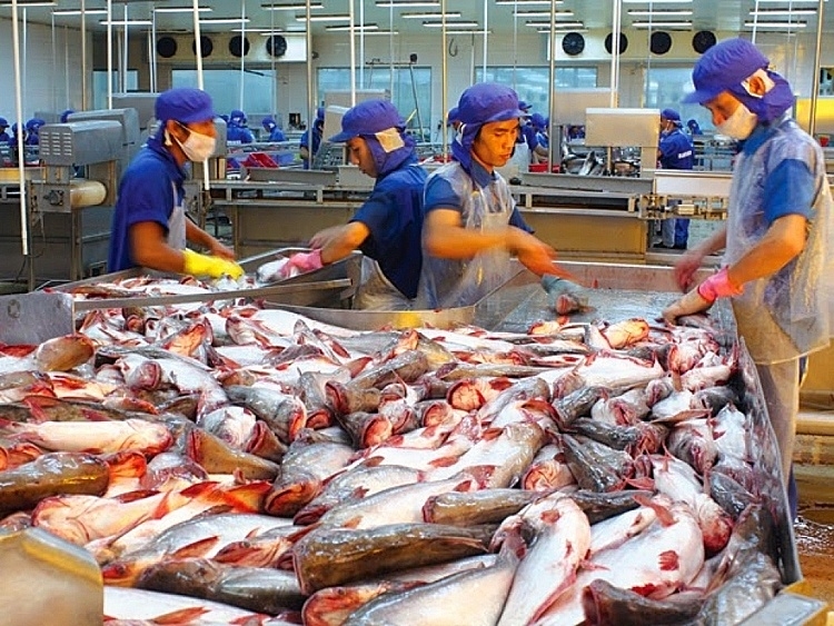 Xuất khẩu cá tra kỳ vọng phục hồi vào quý III/2020