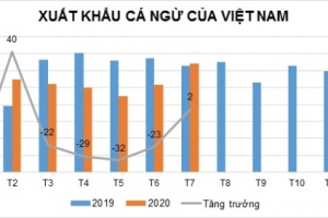 Tháng 7, xuất khẩu cá ngừ Việt Nam đã nhìn thấy tín hiệu tốt hơn