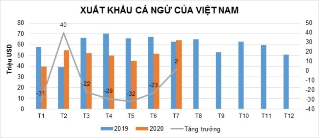 Tháng 7, xuất khẩu cá ngừ Việt Nam đã nhìn thấy tín hiệu tốt hơn