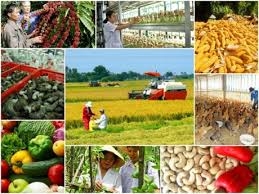 Chính sách khuyến công góp phần nâng cao năng lực cạnh tranh của các doanh nghiệp công nghiệp nông thôn trong bối cảnh hội nhập kinh tế quốc tế sâu rộng