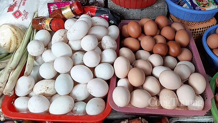 Nguồn cung trứng gia cầm còn rất nhiều, không lo thiếu hàng