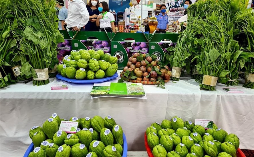 Hỗ trợ tiêu thụ sản phẩm nông sản tỉnh Lào Cai