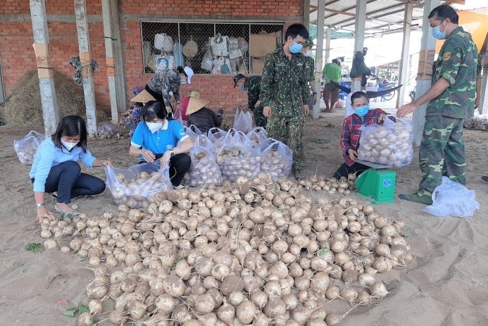 Hội Liên hiệp Phụ nữ tỉnh Bến Tre hỗ trợ nông dân Thạnh Phú tiêu thụ sắn