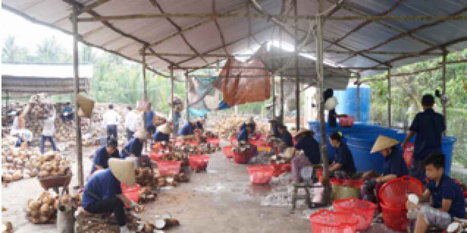 Khảo sát tình hình sản xuất kinh doanh các doanh nghiệp sản xuất Công nghiệp – Tiểu thủ công nghiệp trên địa bàn tỉnh Bến Tre của Sở Công Thương