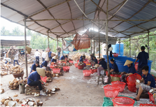 Khảo sát tình hình sản xuất kinh doanh các doanh nghiệp sản xuất Công nghiệp – Tiểu thủ công nghiệp trên địa bàn tỉnh Bến Tre của Sở Công Thương