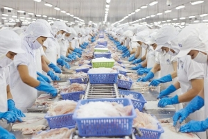 Doanh nghiệp Algeria có nhu cầu nhập khẩu hải sản