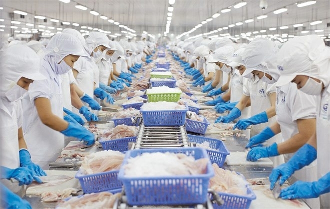Doanh nghiệp Algeria có nhu cầu nhập khẩu hải sản