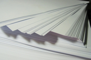 Công ty Slovenia tìm kiếm đối tác sản xuất giấy
