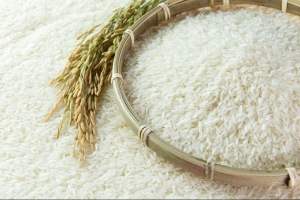 Cơ hội xuất khẩu 20.000 tấn gạo sang Ai Cập