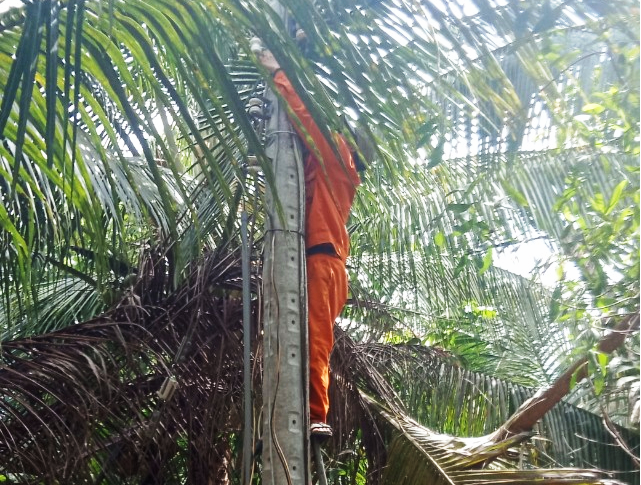 Phương hướng, nhiệm vụ triển khai thực hiện các Chương trình mục tiêu Quốc gia xây dựng nông thôn mới trên lĩnh vực Công Thương 6 tháng cuối năm 2019