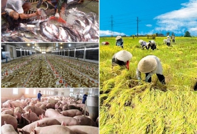 Tình hình phát triển kinh tế tập thể ngành Công Thương 6 tháng đầu năm 2019