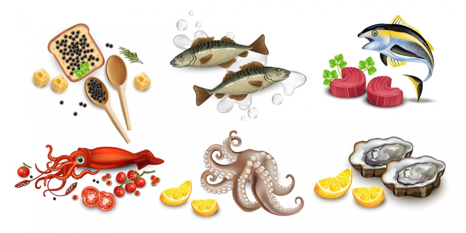 Công ty tại Mỹ muốn nhập khẩu các sản phẩm: cá ngừ, cá mồi, bạch tuộc
