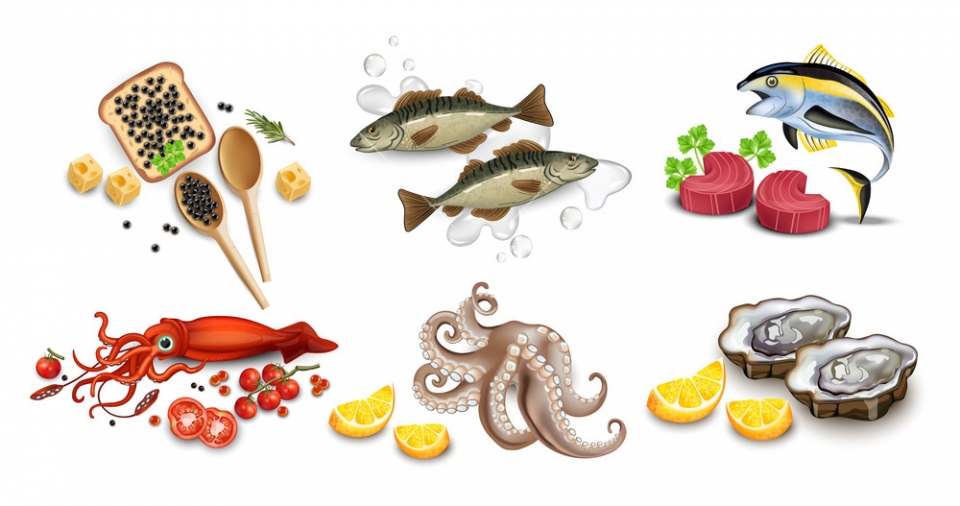 Công ty tại Mỹ muốn nhập khẩu các sản phẩm: cá ngừ, cá mồi, bạch tuộc