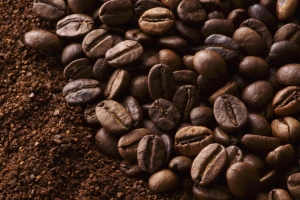 Công ty tại Mỹ muốn nhập khẩu cà phê Việt Nam