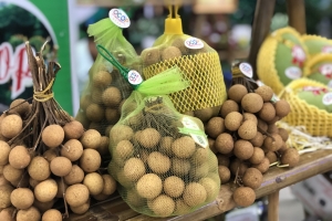 Đẩy mạnh xây dựng và phát triển thương hiệu nông sản Bến Tre