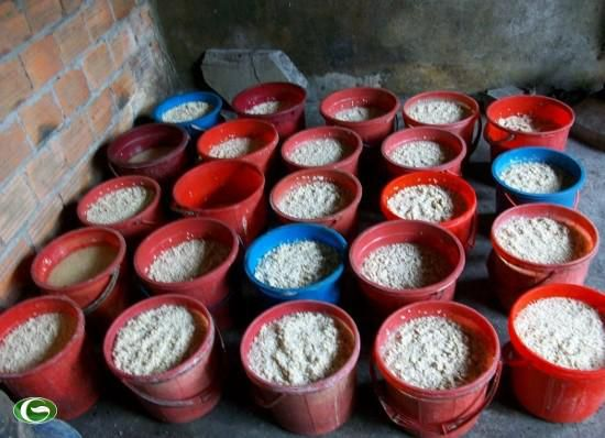 Kế hoạch kiểm tra tình hình sản xuất, kinh doanh và chất lượng,an toàn thực phẩm trong quá trình sản xuất sản phẩm rượu năm 2019