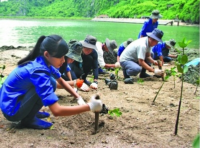 Tập huấn nâng cao nhận thức về bảo vệ môi trường, phòng chống thiên tai và ứng phó biến đổi khí hậu ngành công thương năm 2019