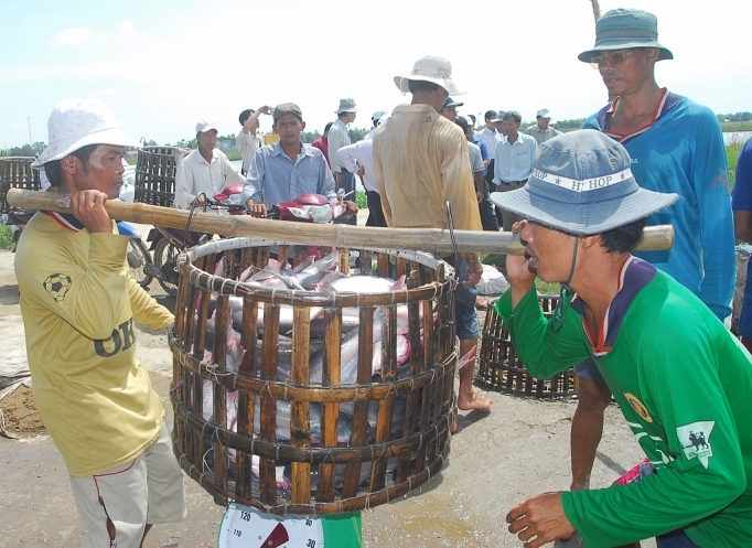 Tuân thủ quy tắc xuất xứ để thủy sản hưởng lợi khi xuất khẩu