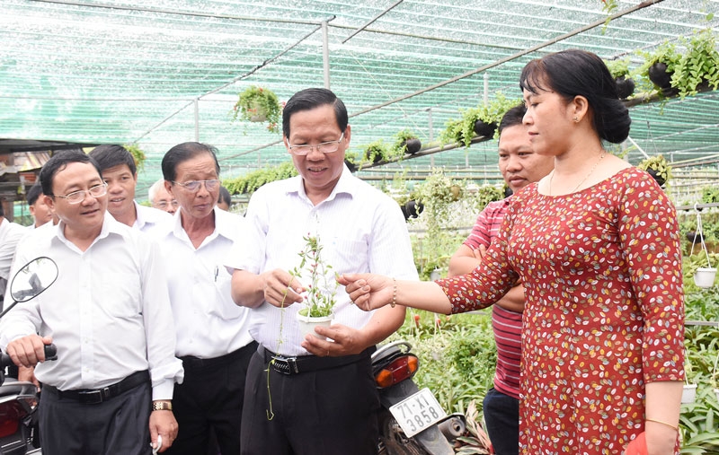 Nông dân “tỷ phú” trong sản xuất, kinh doanh