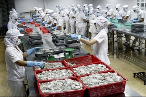 Thủy sản Việt Nam: Tin vui từ thị trường Trung Quốc