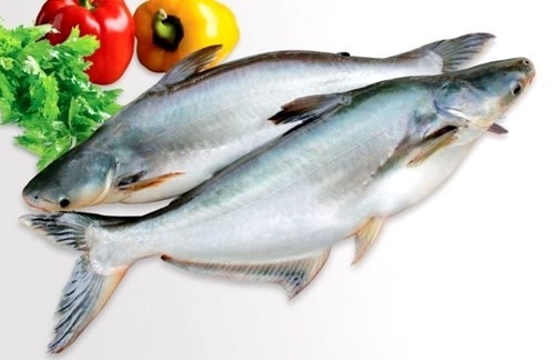 Doanh nghiệp xuất khẩu cá tra giảm doanh số vì thị trường Mỹ